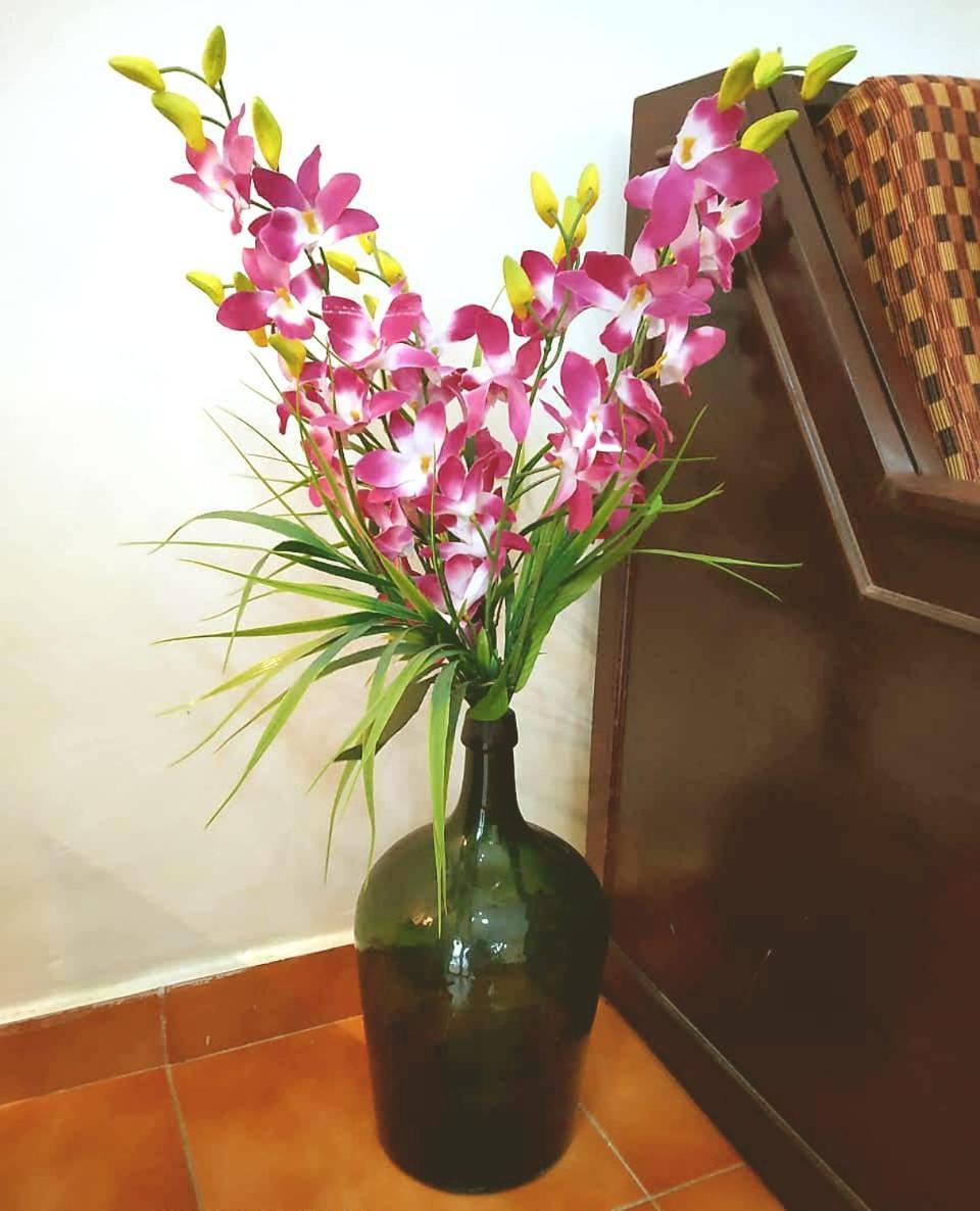 Diana Apartments Candolim Bagian luar foto